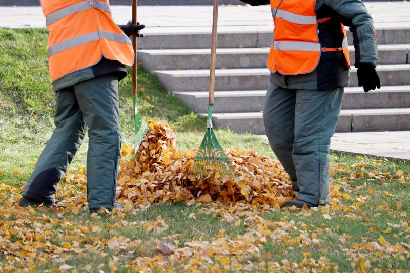 Leaf Vacuuming