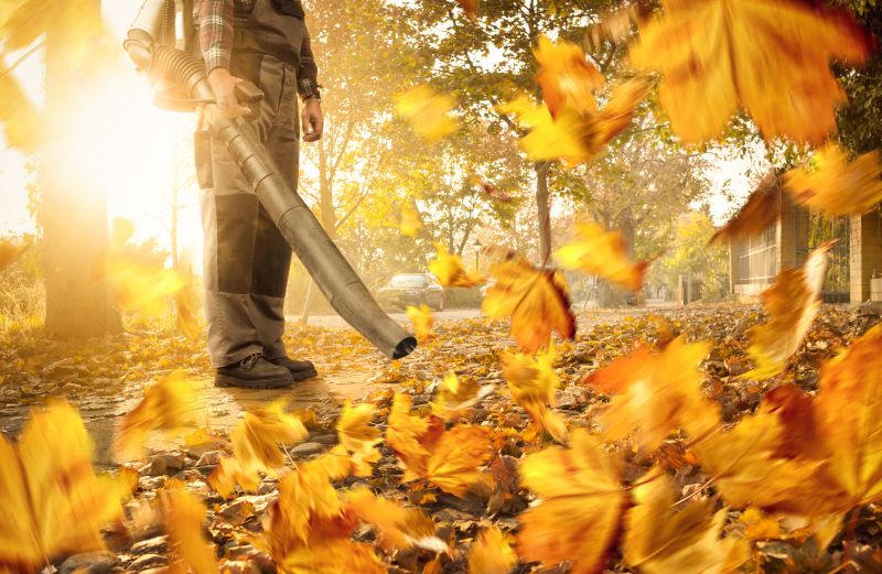 Cost of Leaf Vacuuming — Cost of Leaf Vacuuming