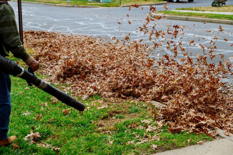 Cost of Leaf Vacuuming — Cost of Leaf Vacuuming