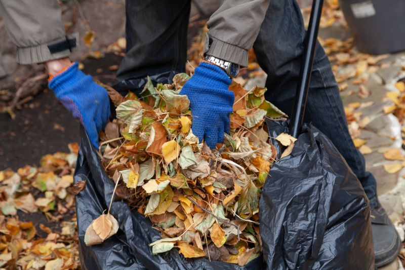 Leaf Pile on Lawn
