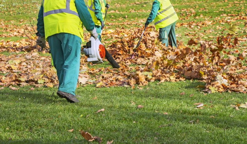 Professional Equipment for Leaf Collection