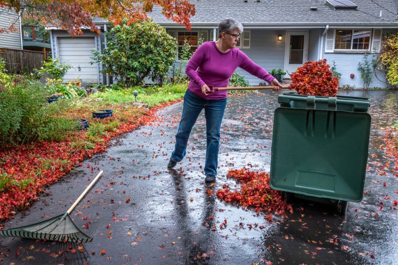 Leaf Removal at Sunset