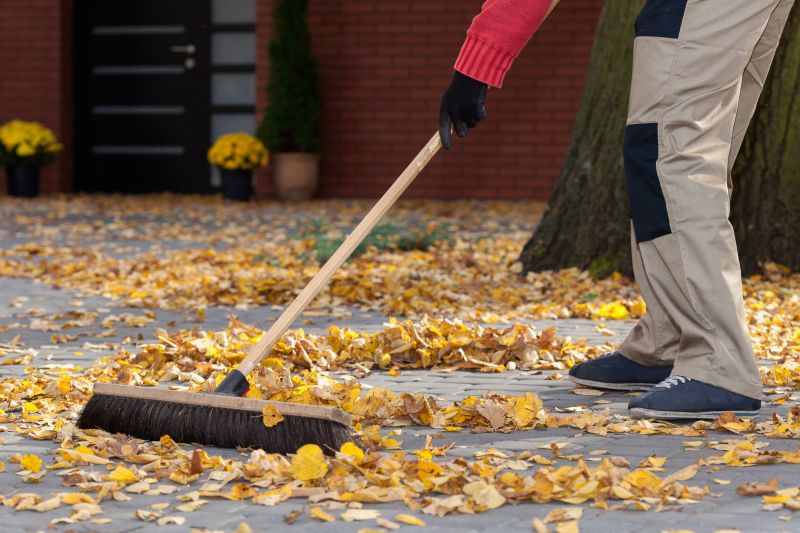 Leaf Vacuuming