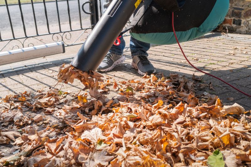 Leaf Vacuuming