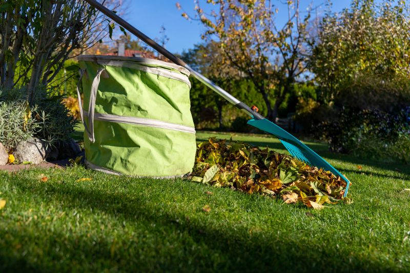 Autumn Leaf Collection