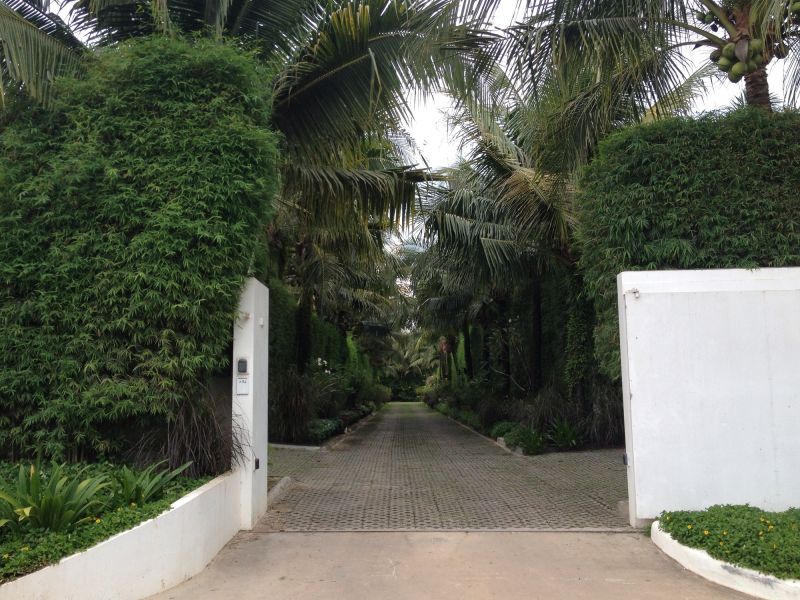 Ornamental Tree Planting in Honolulu, HI