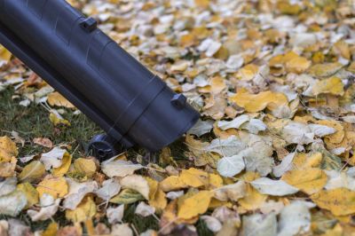 Improve the Health of Your Lawn with Leaf Vacuuming!