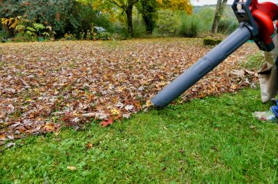 Remove Leaves and Debris from Gardens, Lawns, and Driveways with Leaf Vacuuming!