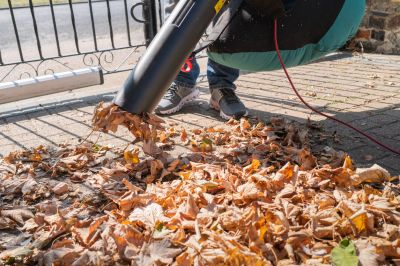 Save Time and Energy with Leaf Vacuuming!